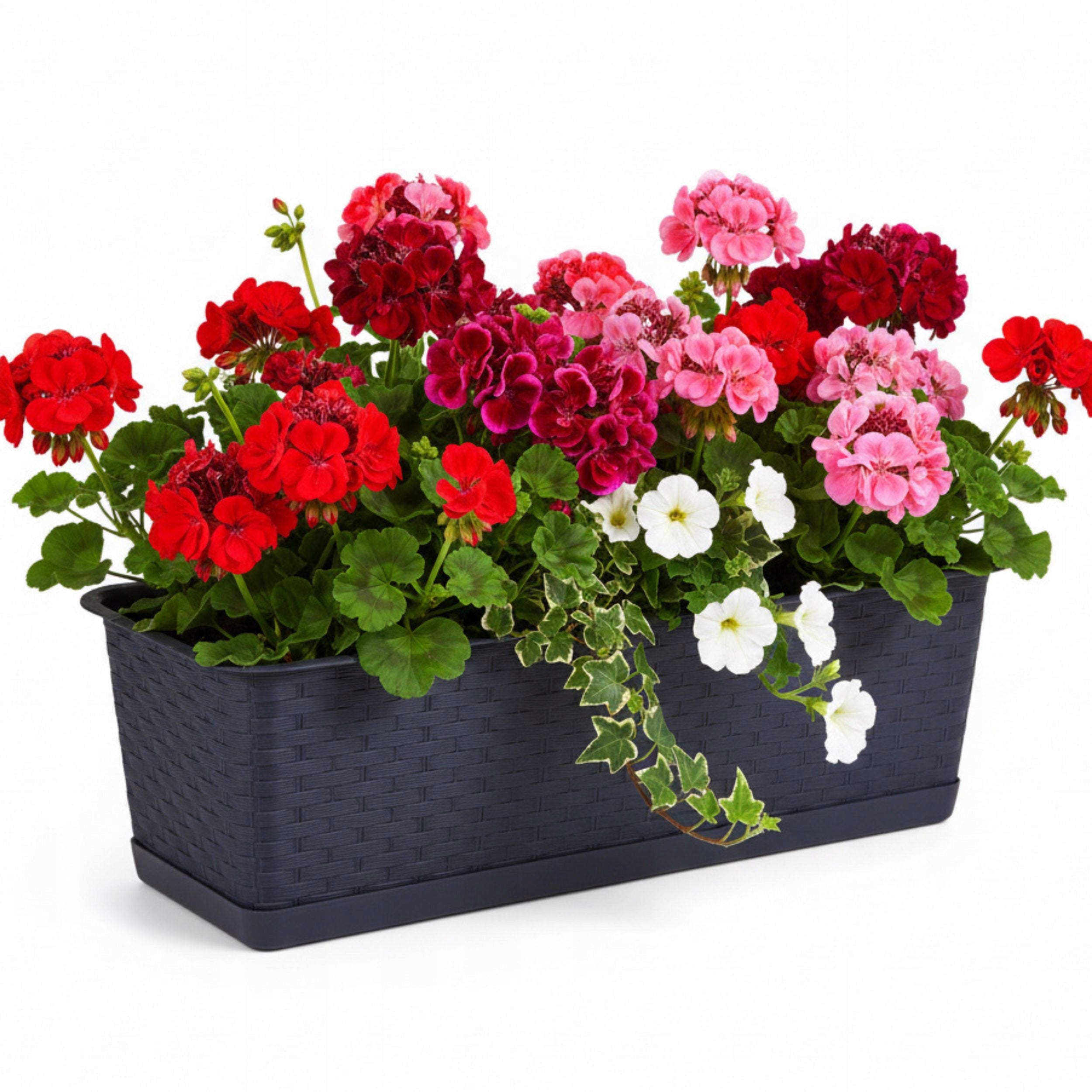 Ratolla balcony box with stand ISR500P Rectangular flower pot Brand DIKEL