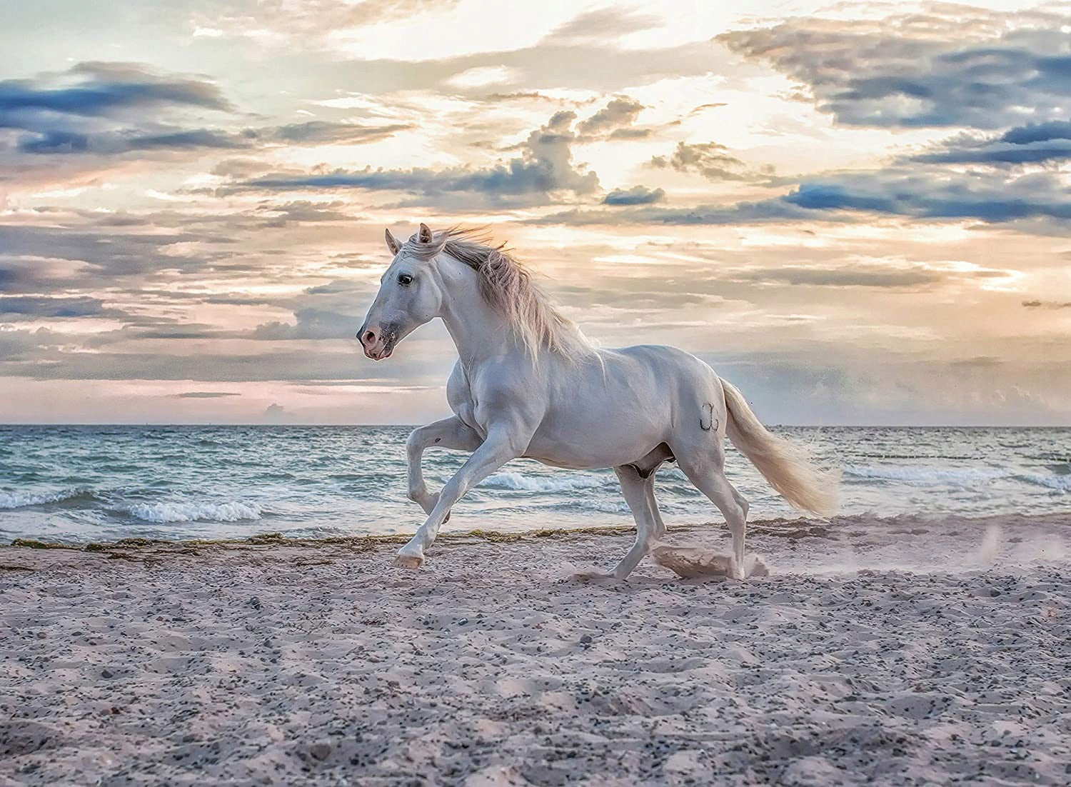 Puzzle Ravensburger Western Galopp, 500 d, 16586 
