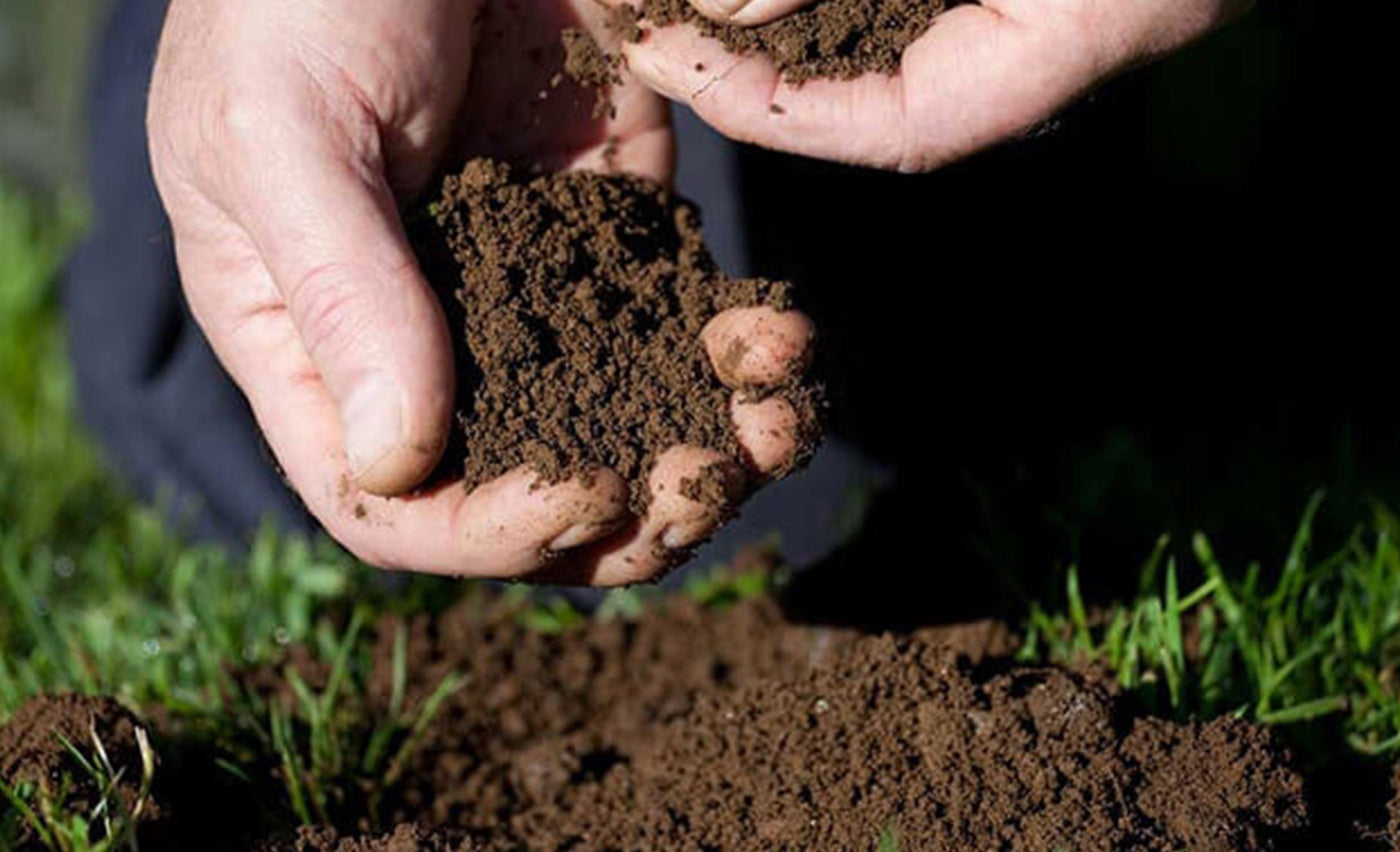 Real HUMUS from EARTHWORMS Biohumus Garden Land Biohumus Wermikompost Fertilizer type organic, natural