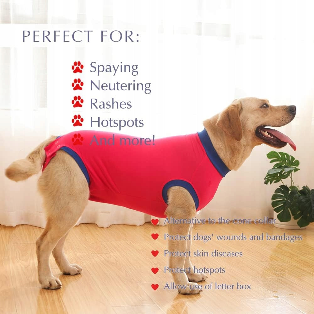 Recovery Suit for Dogs SIZE S