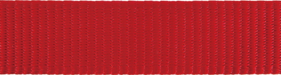 Red Dingo postroj - Red - 25 mm x 56-80 cm Manufacturer code TRNS0505M