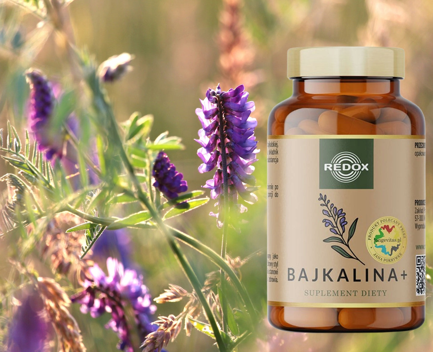 Red-OX | Baikalin + | Baikal Thyroid | Dr. Jan Lid | 60 kaps. Brand Red-Ox
