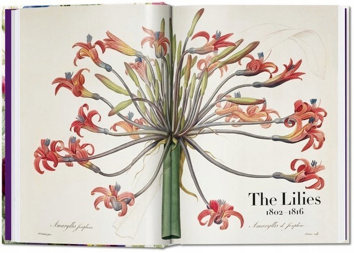 Redoute. The Book of Flowers. 40th Ed.: The Complete Plates Multilingual edition