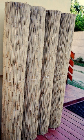 Reed Mats Reed Mat 1,60X600 thick Height 1.6 m