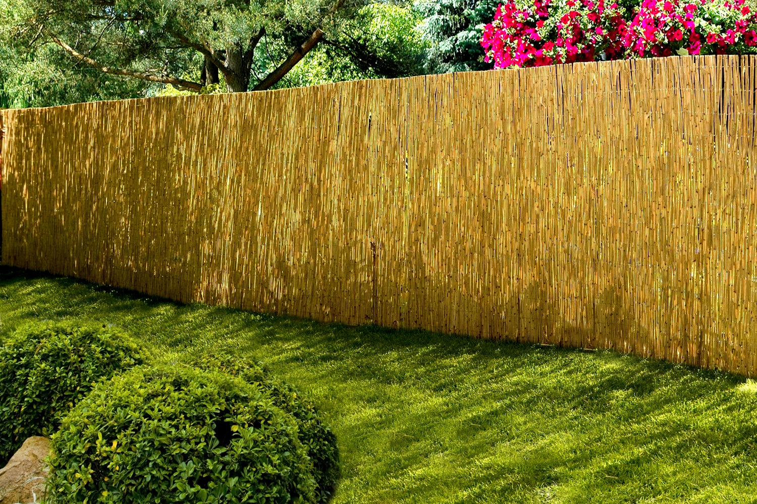 Reed mat, shielding, fence, fence 1.8x6.0m PROMOTION!! Manufacturer code 1000
