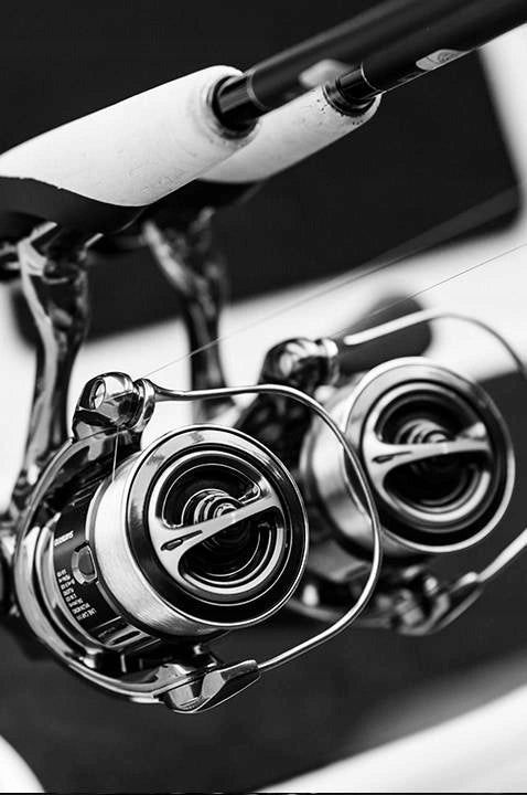 Reel Shimano Stella 4000M FK +FREEBIE!!! Size 4000