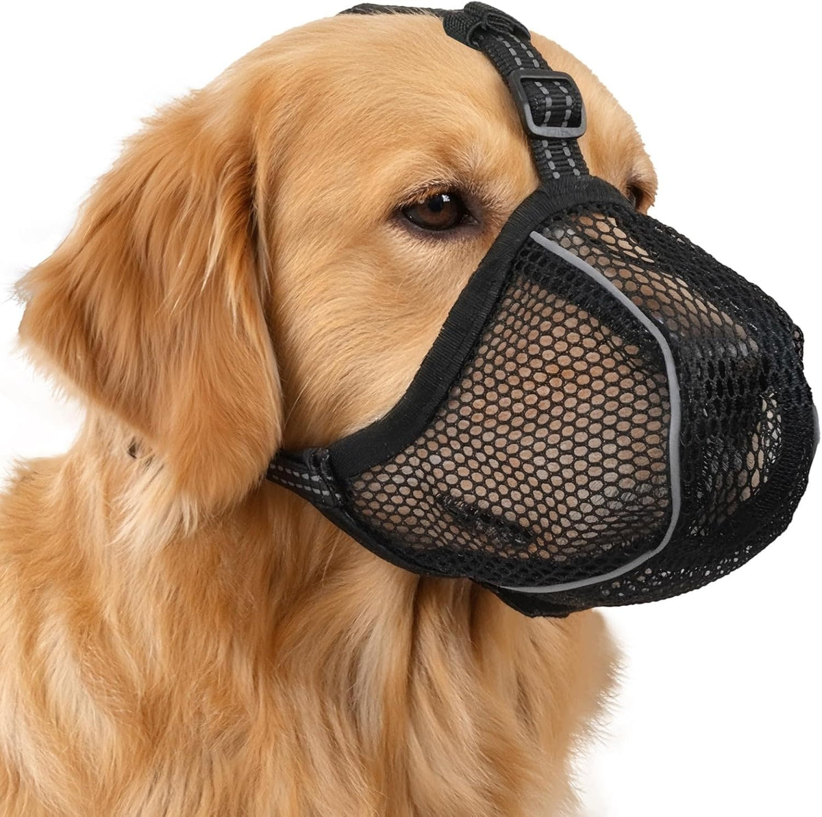 Reflective Adjustable muzzle for Golden Retriver Dogs Small and Large