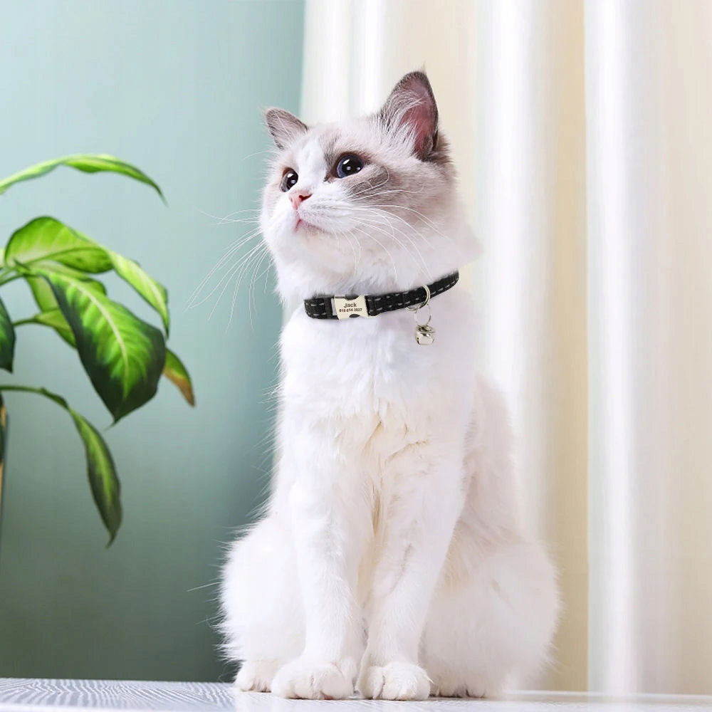Reflective Cat Collar Dog Bell Identifier Address Card - ORANGE - Color orange