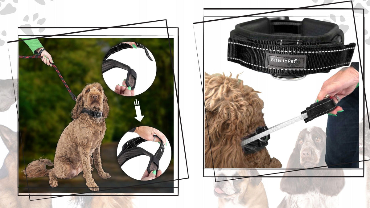 Reflective Collar Waterproof Short Lanyard Dog Adjustable Strong Safe Packaging status original