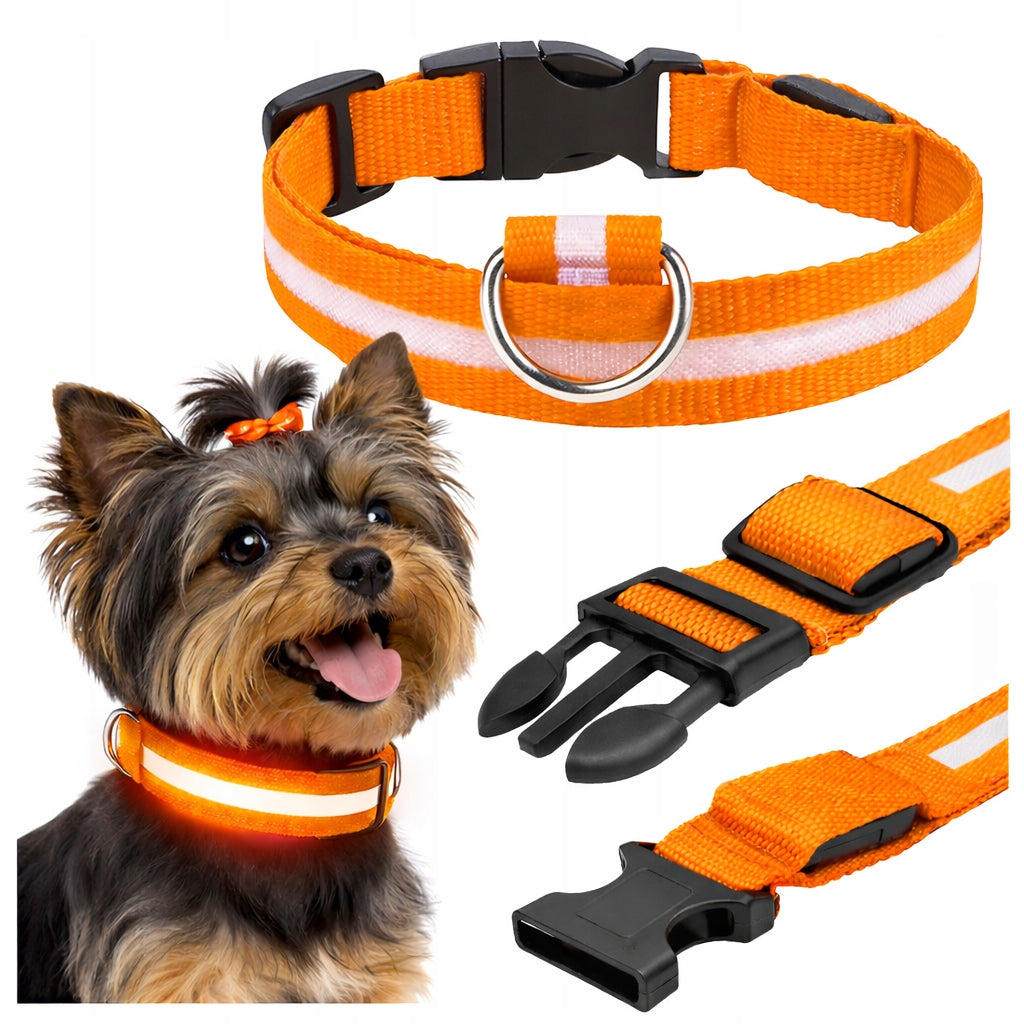 Reflective collar glowing LED 34 to 42 cm for dog adjustable orange