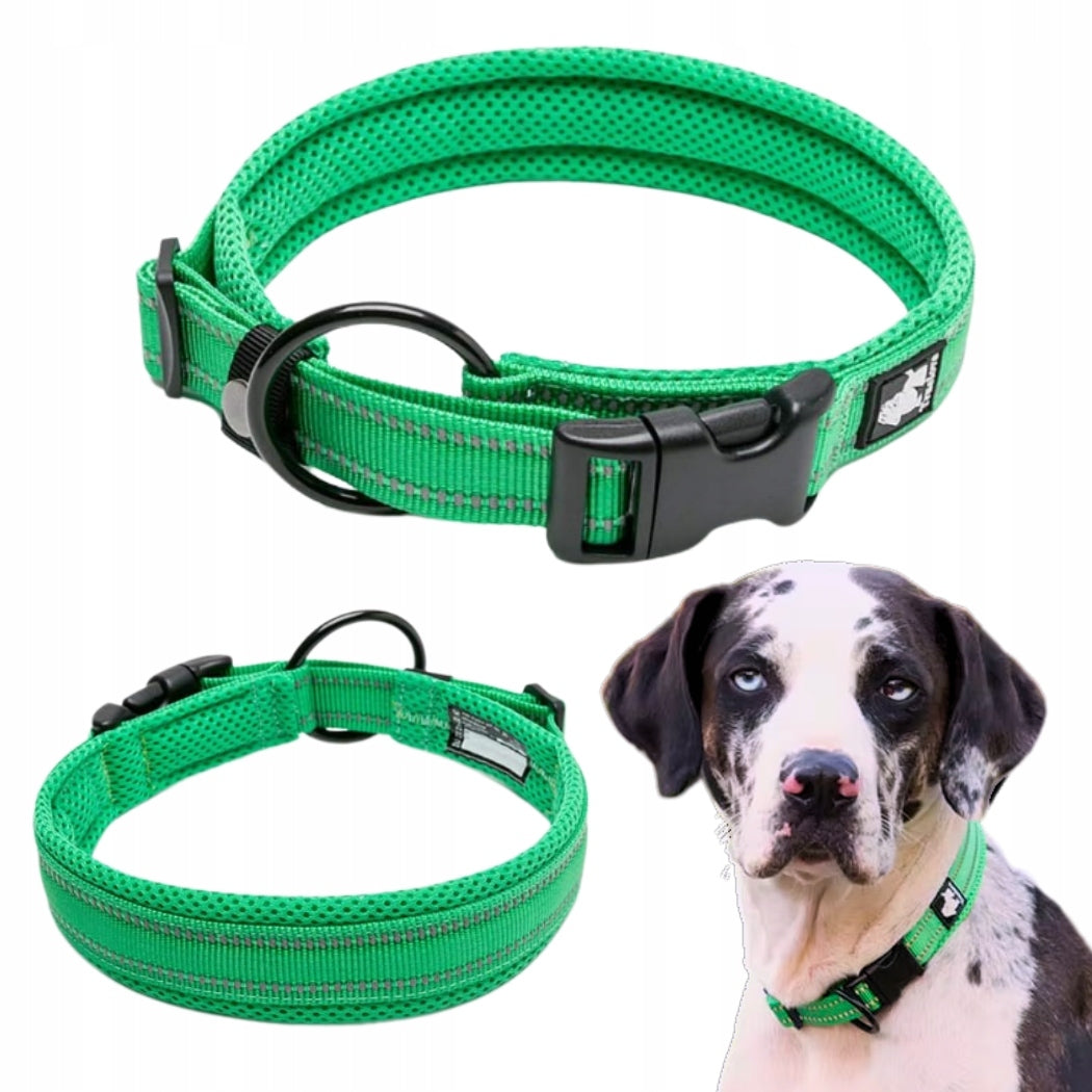 Reflective dog collar GREEN Truelove XL