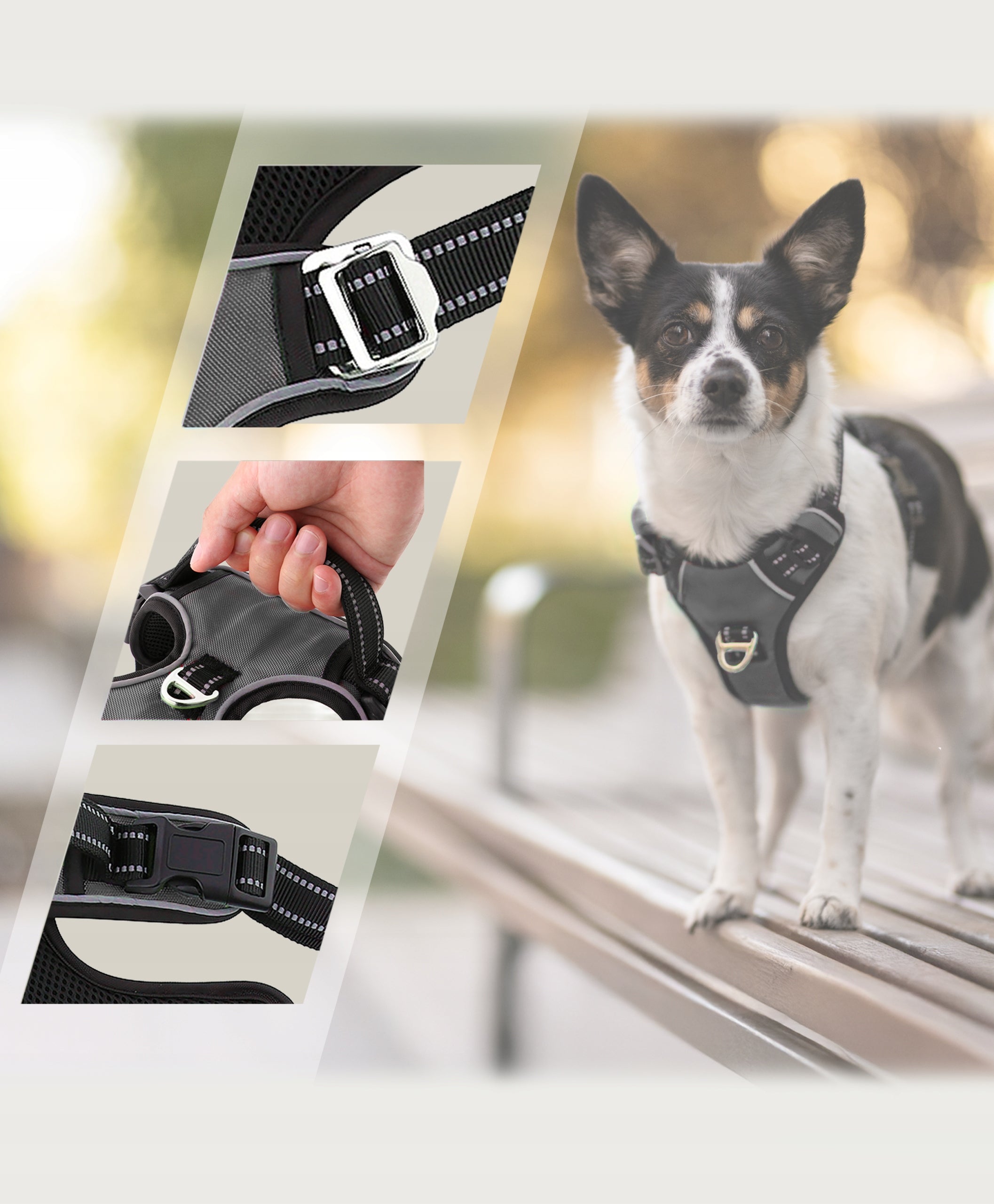 Reflective harness for dog guard pressure-free HUGGY DOGGY strong easy walk S Manufacturer code Szelki dla psów HUGGY DOGGY Walky Guard