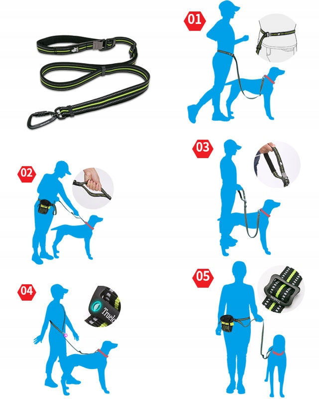 Reflective leash adjustable Truelove Urban 200 cm Additional features reflective elements
