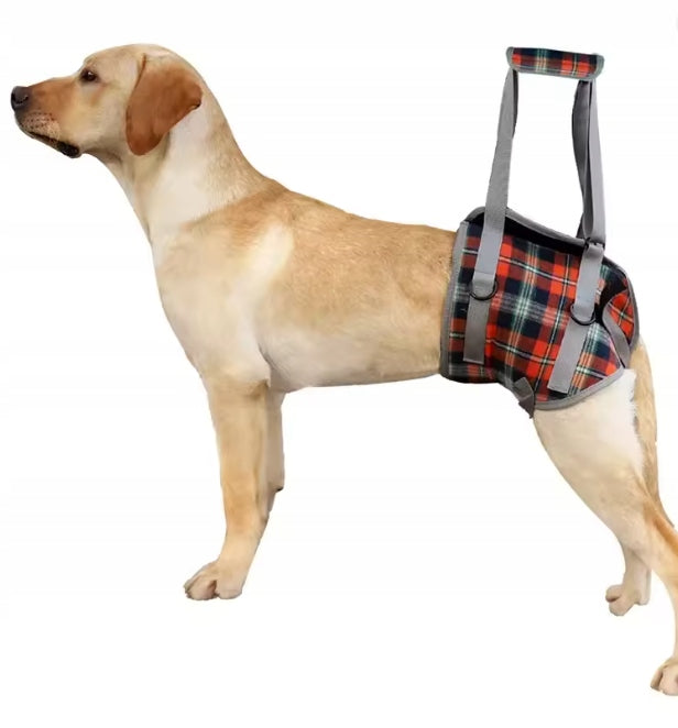 Rehab 7-12,5 KG Rear Leg Lifting Dog Support Harness