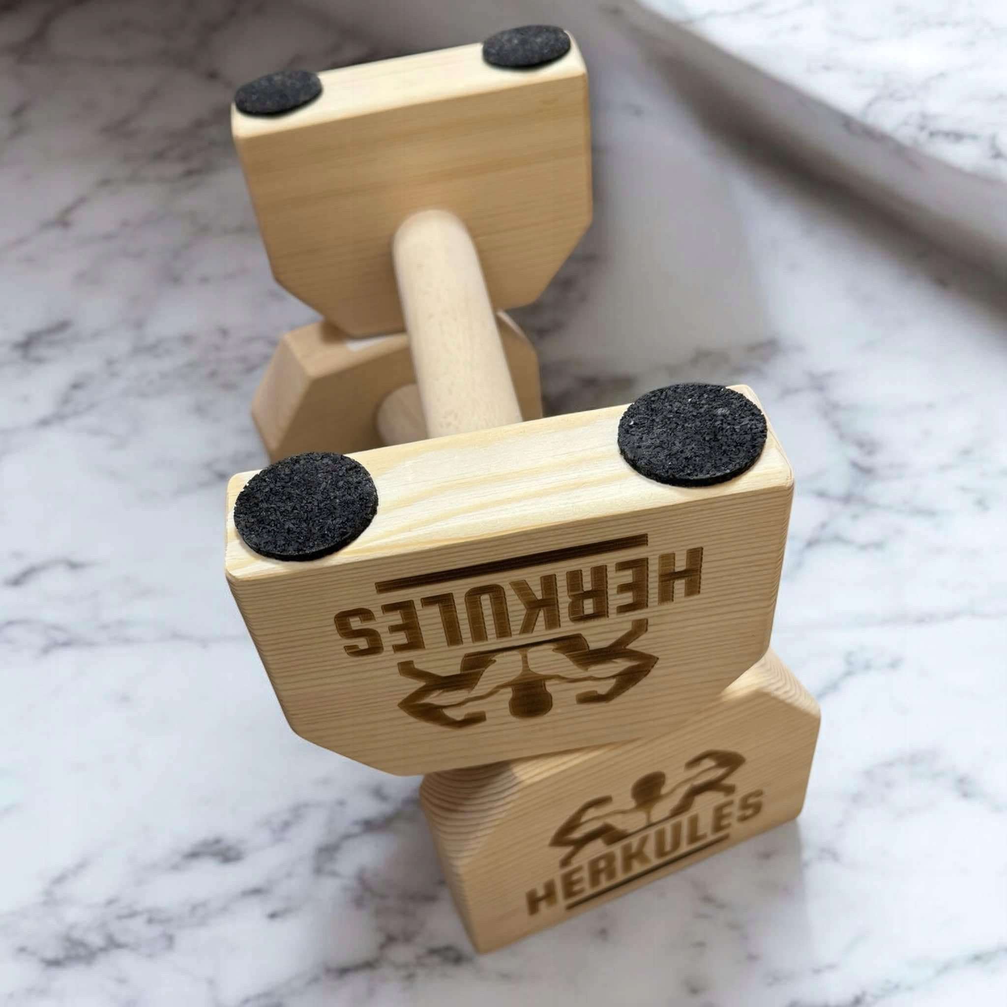Reinforced Parallel Pump Holders Model Herkules