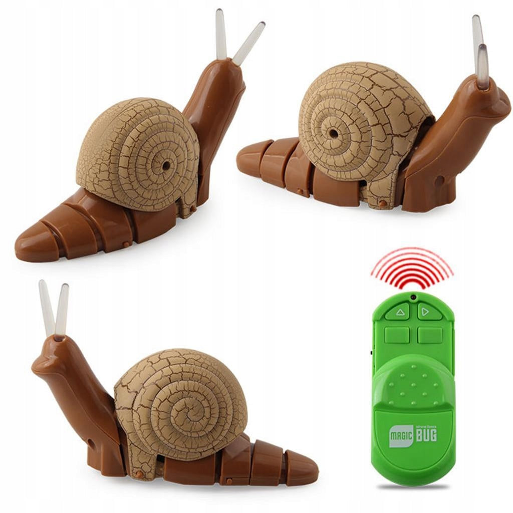 Remote Control Mock RC Toy Snail Brown Brand no brand