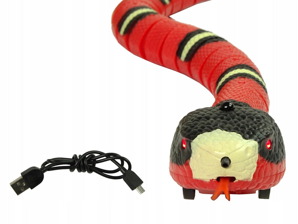 Remote Controlled Touch Hose Red Black Strips Kind driving