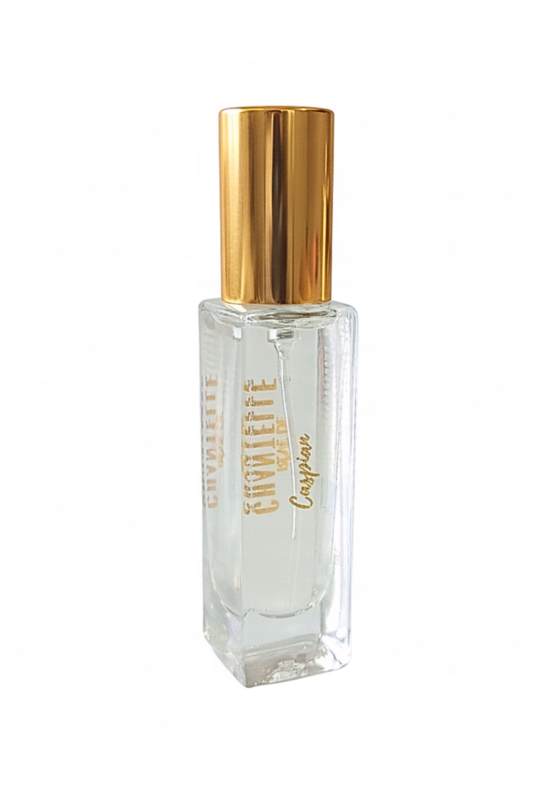 Rêve de Chantelle Perfume Caspian 16 ml - from the manufacturer