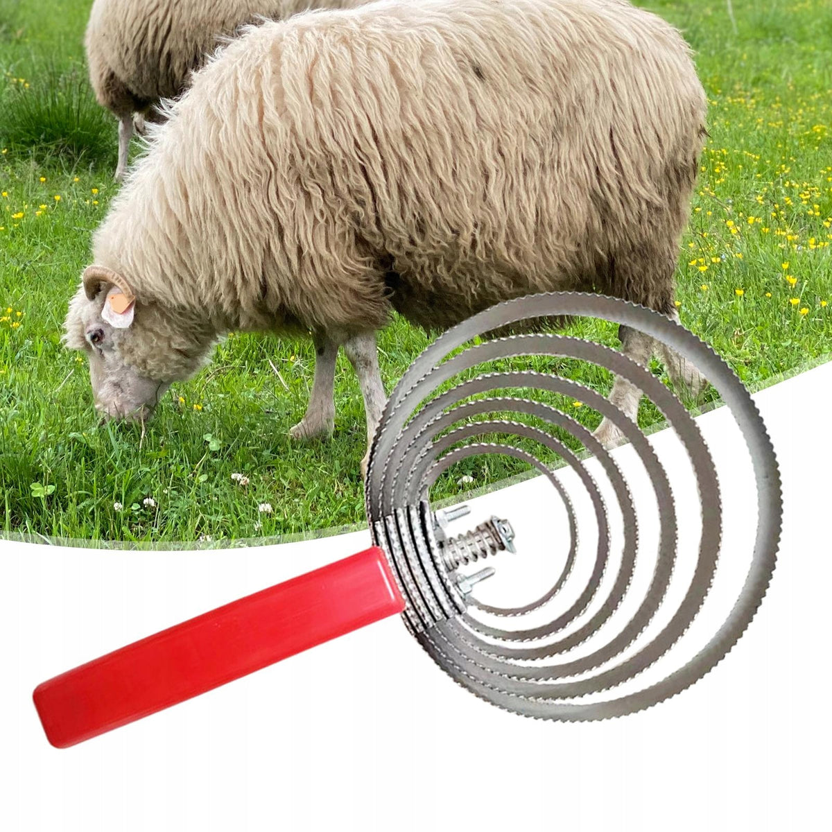 Reversible Curry Comb with Rubber Anti Slip Grip Double Sided Curry 6 Rings