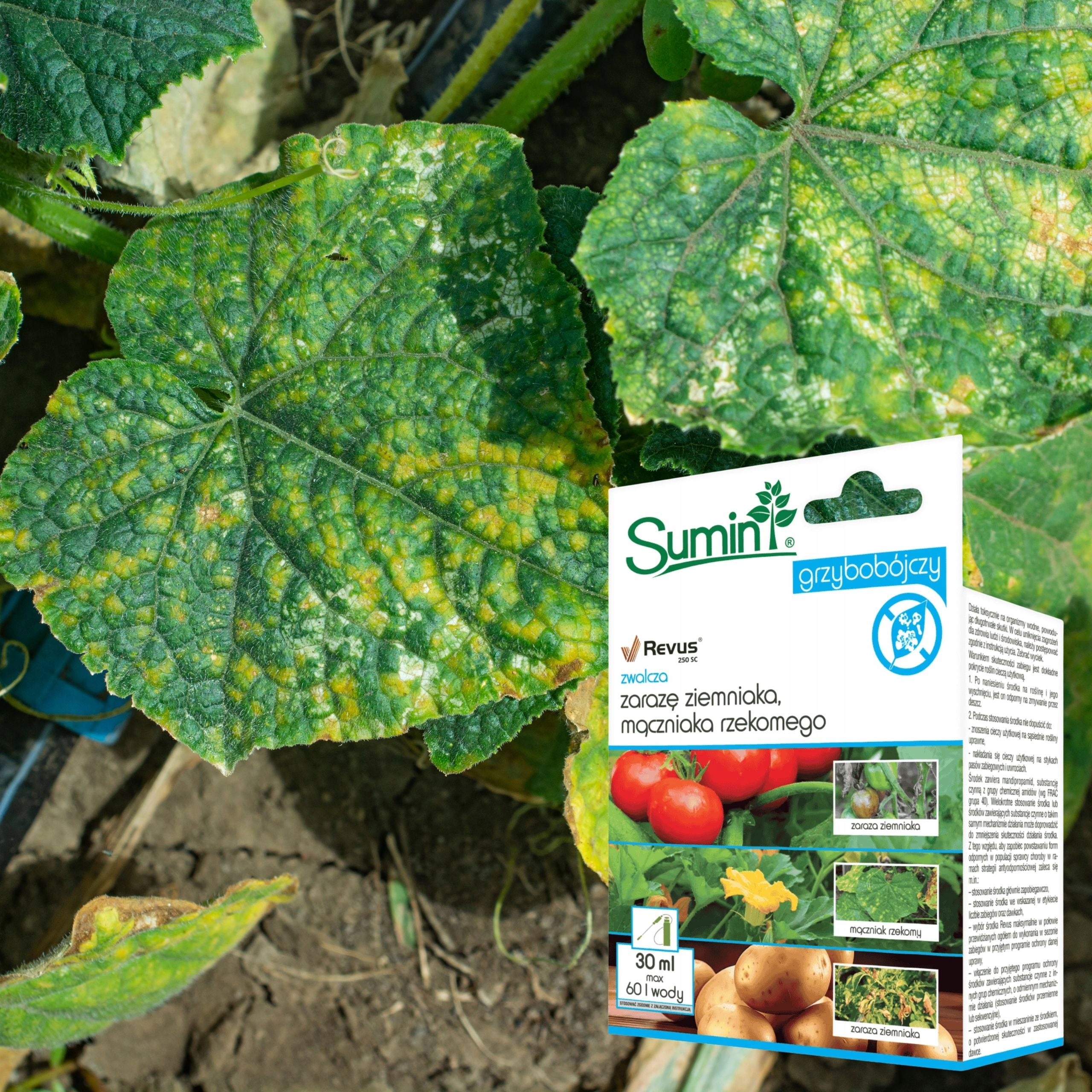 Revus 250 SC 30ml Fungicidal Agent Potato Plague Powdery mildew Spray Manufacturer Sumin