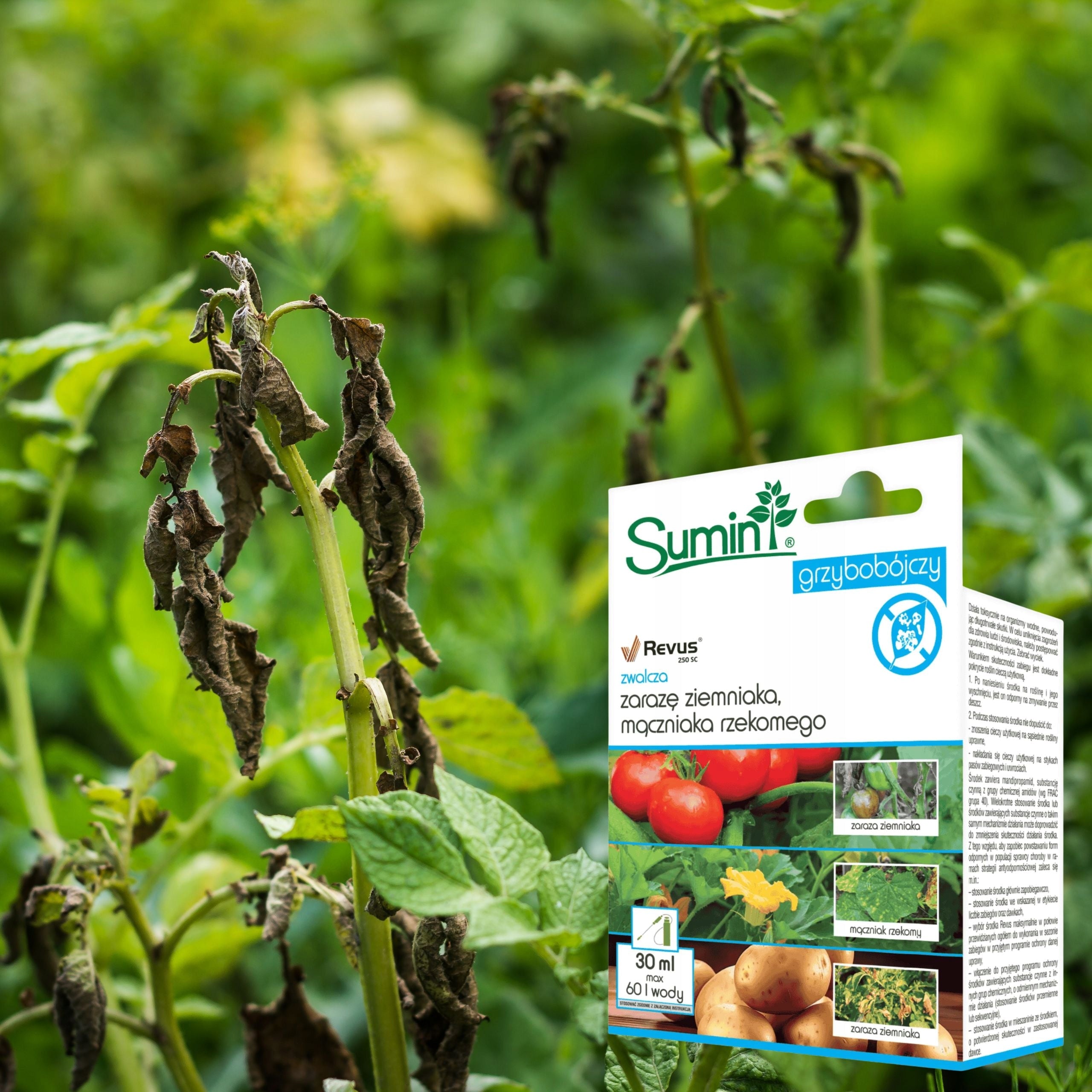 Revus 250 SC 30ml Fungicidal Agent Potato Plague Powdery mildew Spray Manufacturer code revus grzybobójczy cabrio duo orvego