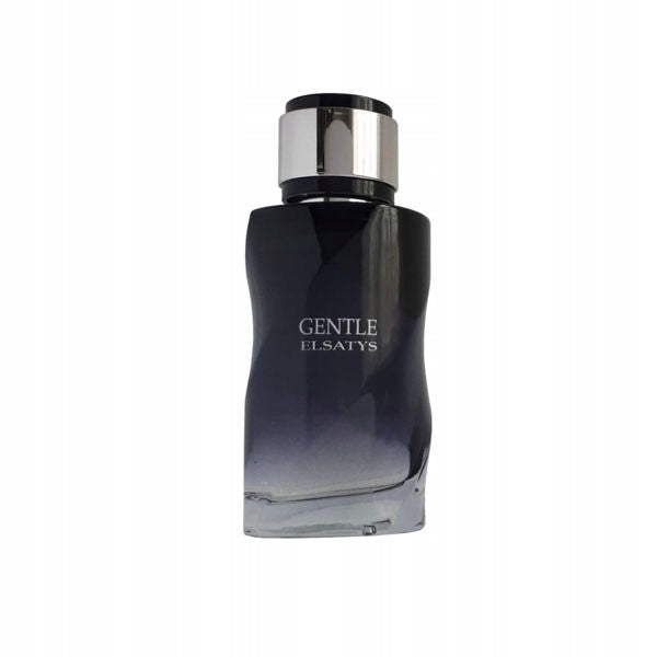 Reyane Tradition Gentle Elsatys 100ml Eau de Parfum