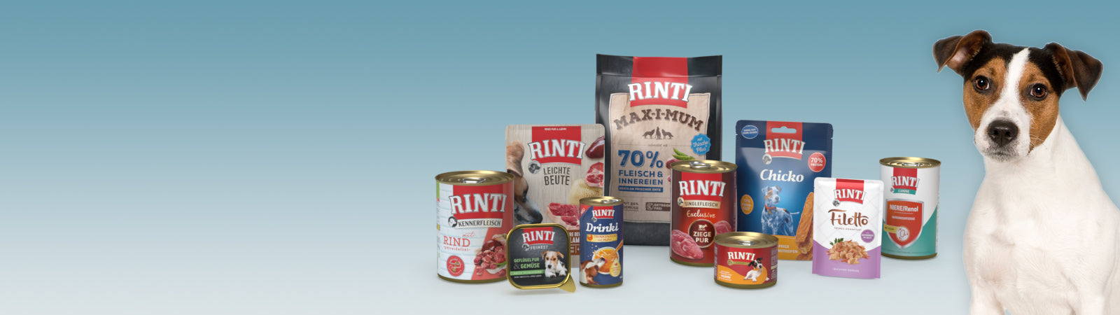 Rinti Mini Gold Chicken Goose 100g Mini Dog Food Manufacturer code 92022