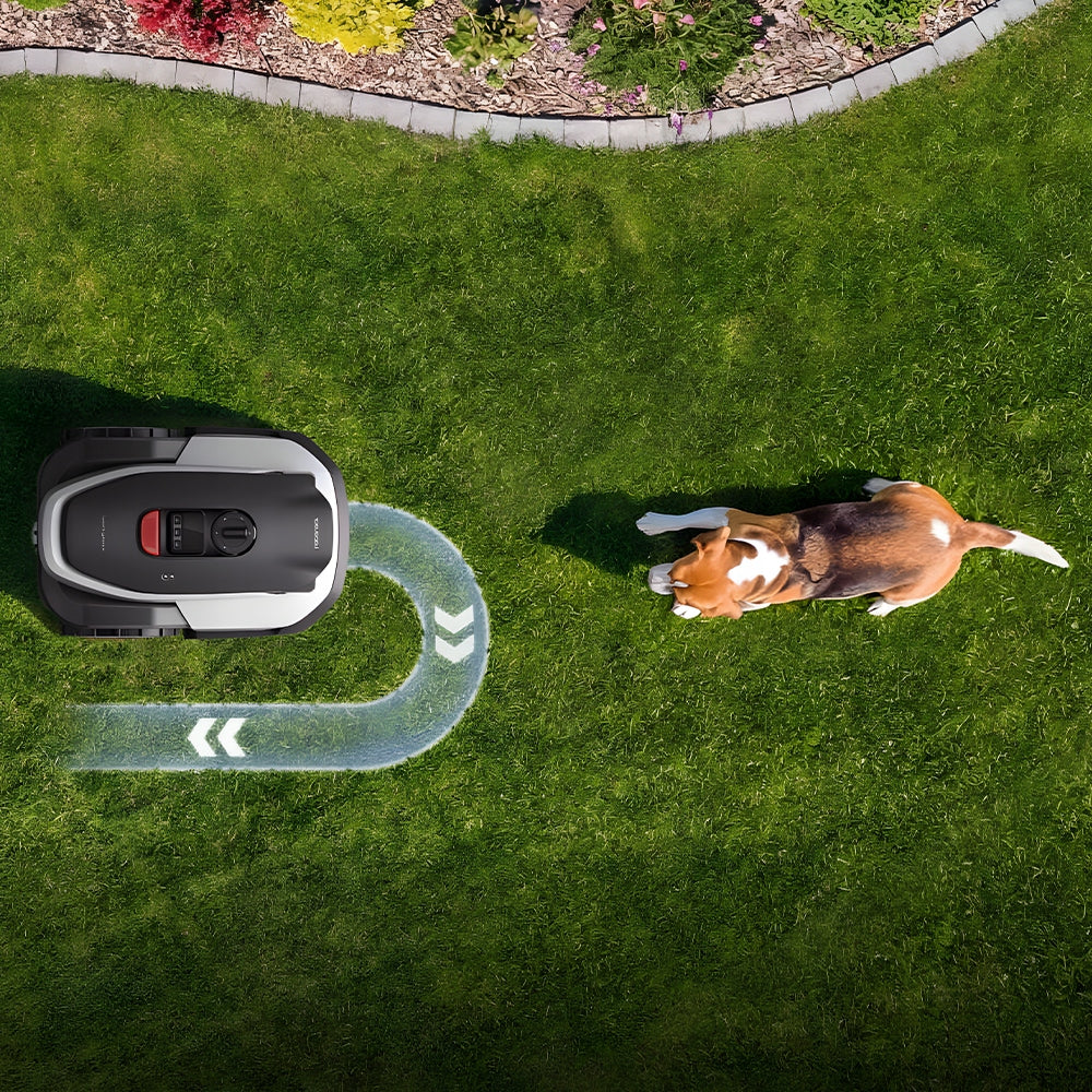 Robot mower ROBOROCK RockNeo Q110 GPS RTK AI VSLAM Without cable up to 1000m2 Mowing performance 1000 m²