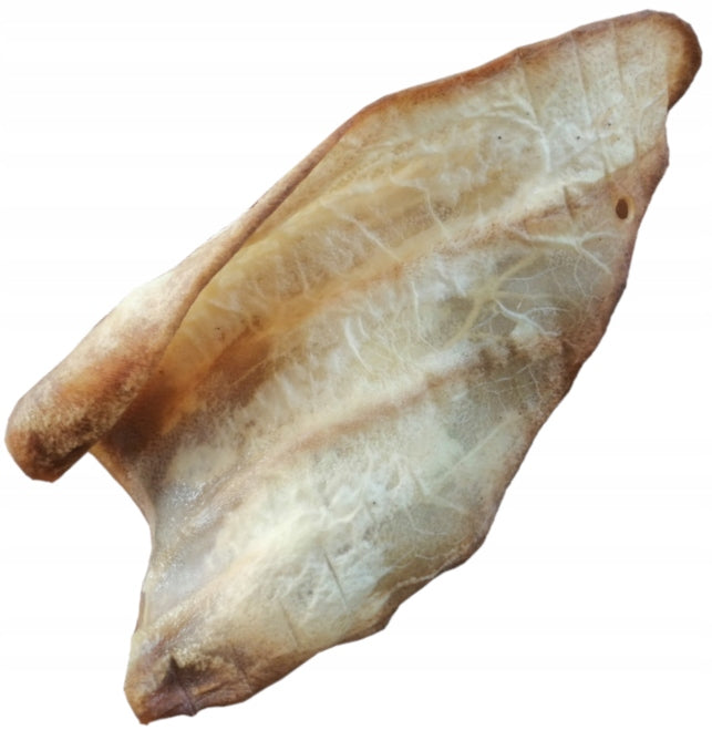 Rocco Ear Beef Treat for Dog 1pc.