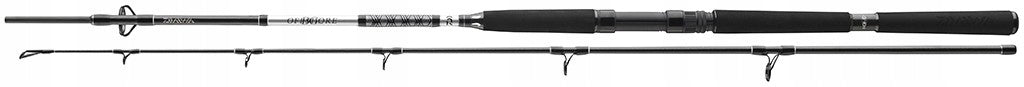 Rod Daiwa BG Offshore Boat 2,40m 150-400g