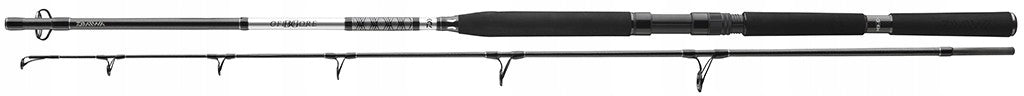 Rod Daiwa BG Popper 2,30m 40-150g
