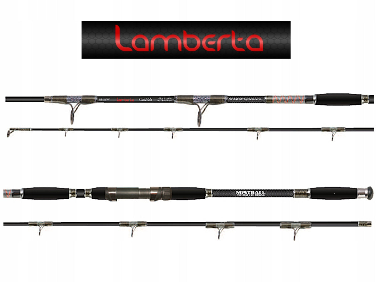 Rod Lamberta Catfish 3,15m Mistrall