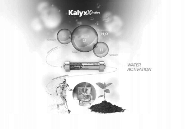 Rotary device - water treatment reducing stone IPS Kalyxx Activ 3/4" EAN (GTIN) 8588006413915