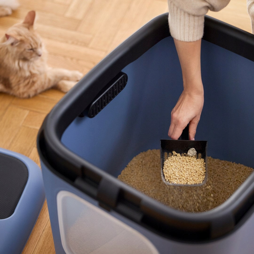 Rotho closed litter box WHITE XL 61,4 cm x 49,9 cm x 57,6 cm blue Kind closed litter box