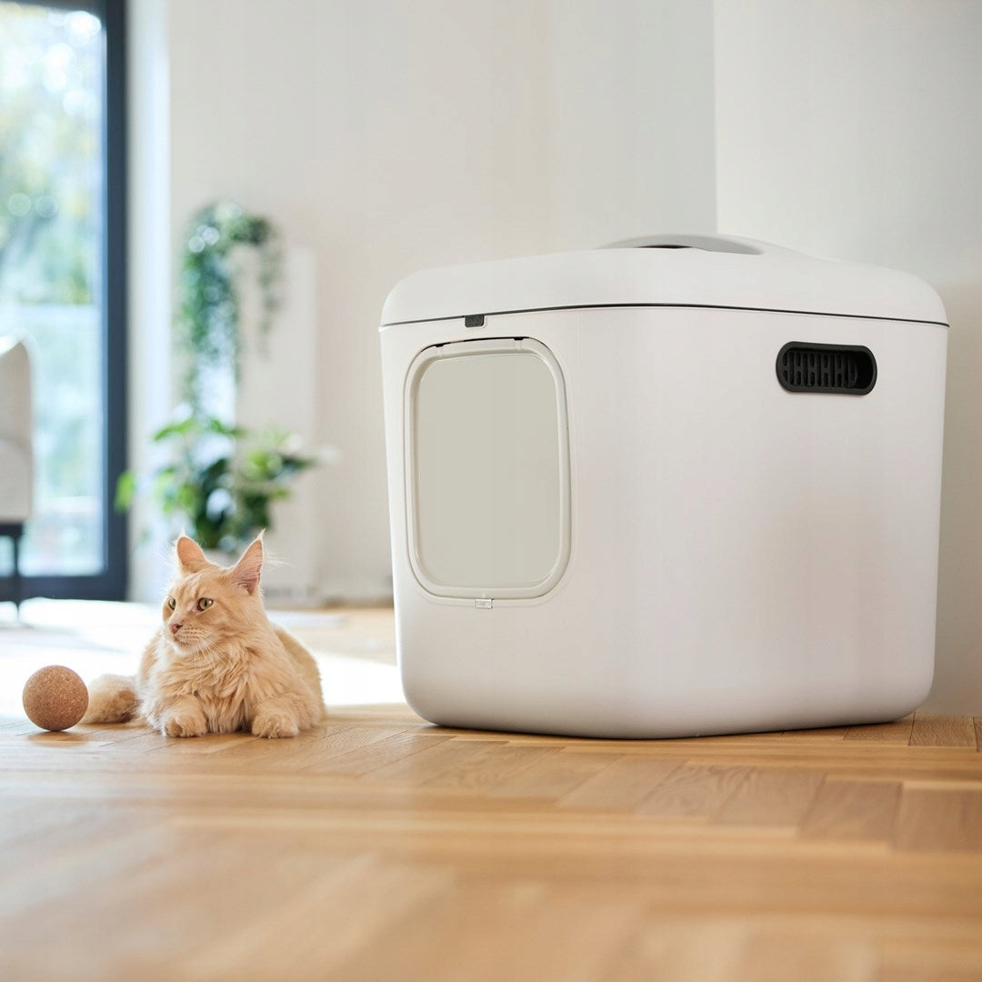 Rotho closed litter box WHITE XL 61,4 cm x 49,9 cm x 57,6 cm white Manufacturer code 4006601023WS