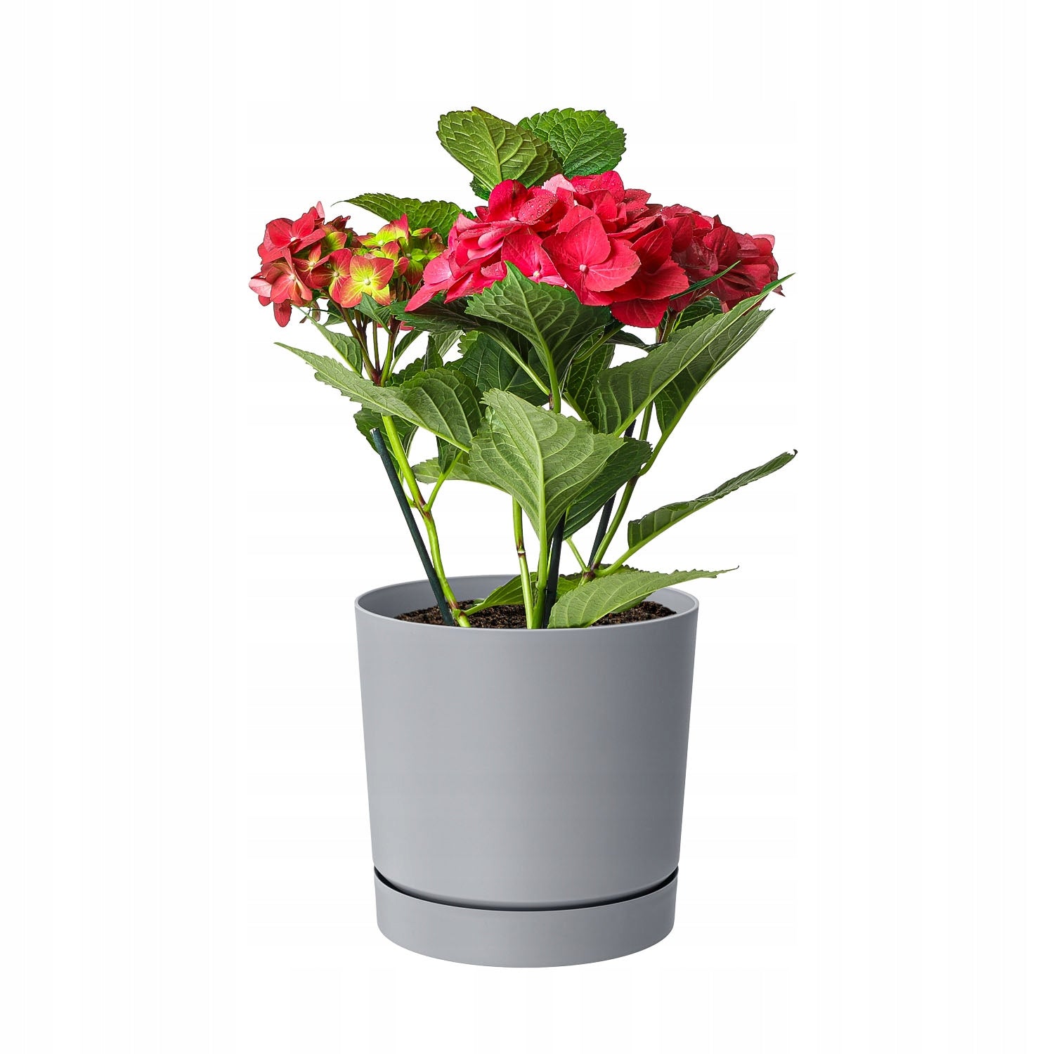 Round pot Low pot TUBO P DPOP180 Grey