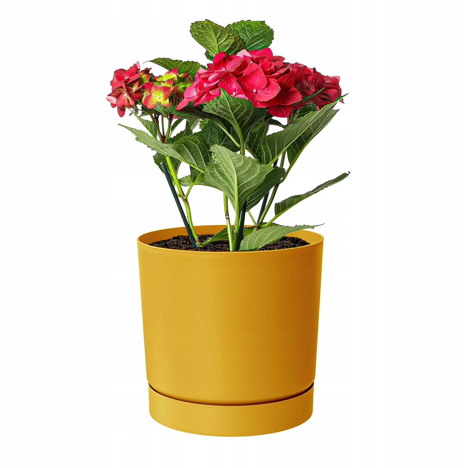 Round pot Low pot TUBO P DPOP240 Yellow