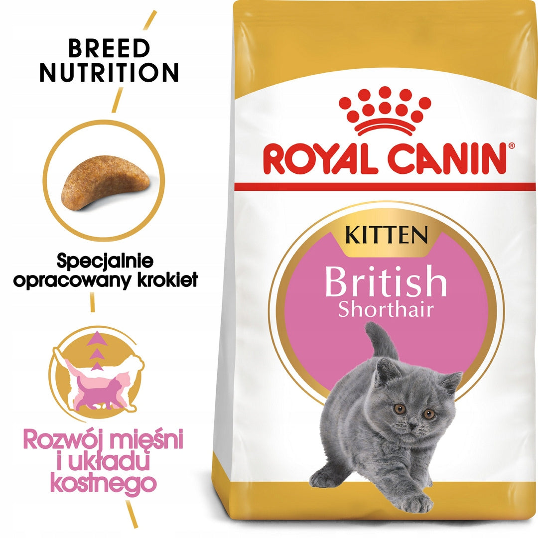 Royal Canin British Shorthair Kitten 2kg British Kitten Dry Food Brand Royal Canin