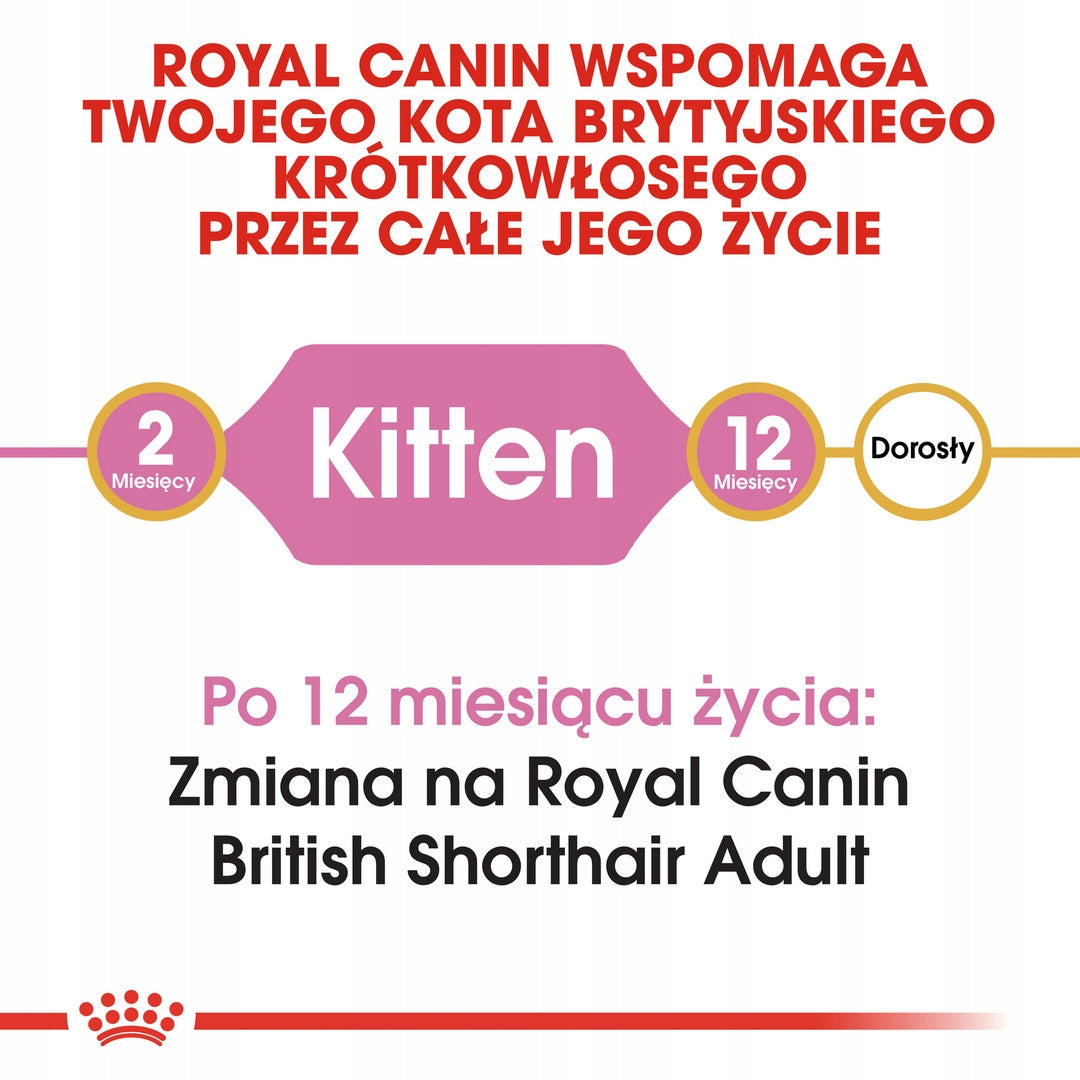 Royal Canin British Shorthair Kitten 2kg British Kitten Dry Food Packaging status original