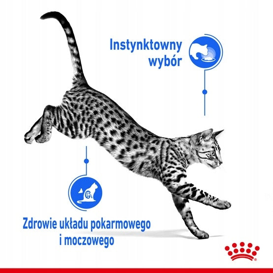 Royal Canin Indoor Sterilised Jelly sachet 85g Number of pieces in the package 12 pcs