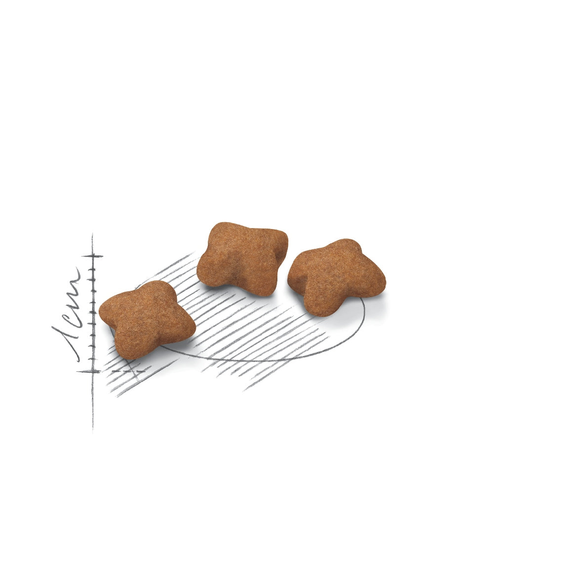 Royal Canin Kitten Sterilised 3,5kg Dry Food for Sterilized Kittens Brand Royal Canin