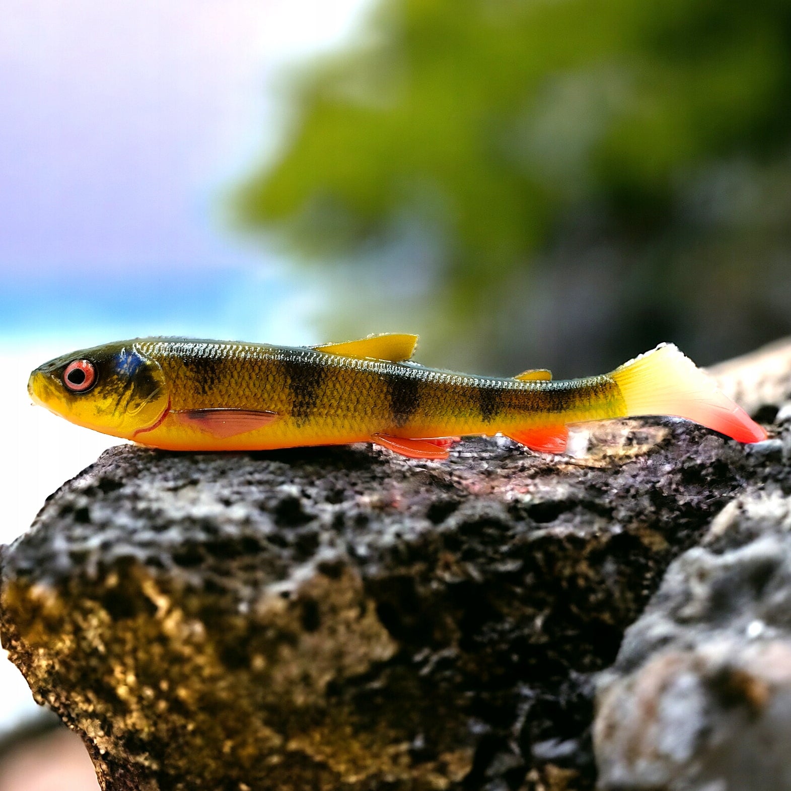 Rubber Savage Gear Whitefish 15cm color PERCH 2pcs for pike EAN (GTIN) 5706301025067