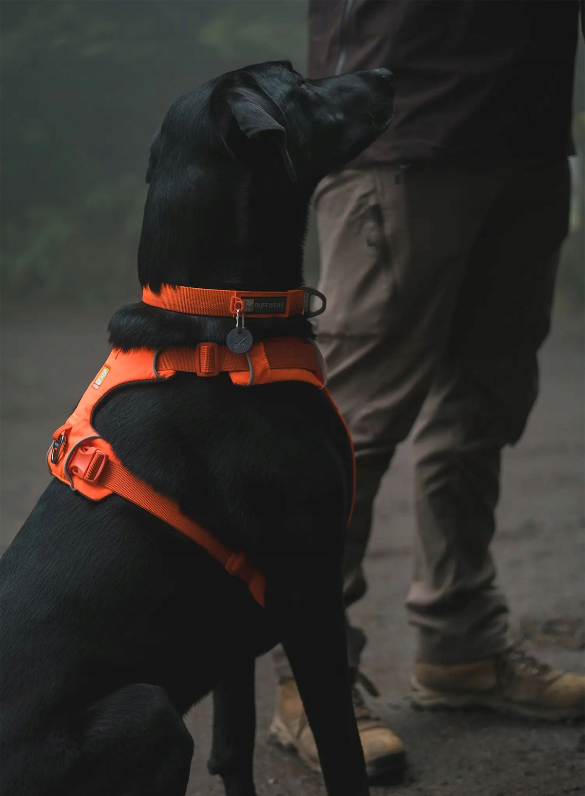 Ruffwear Web Master Harness - blaze orange S Manufacturer code Ruffwear