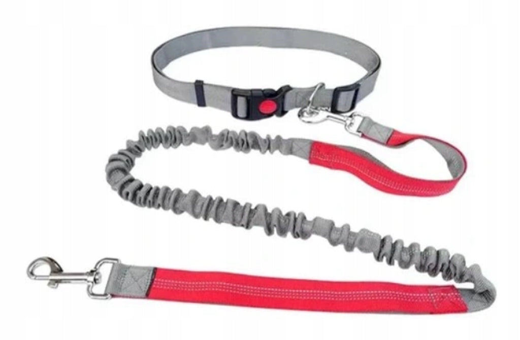 Running leash with shock absorber + hip belt set