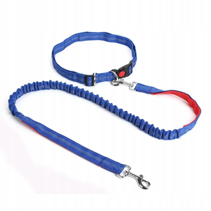 Running leash with shock absorber hip belt