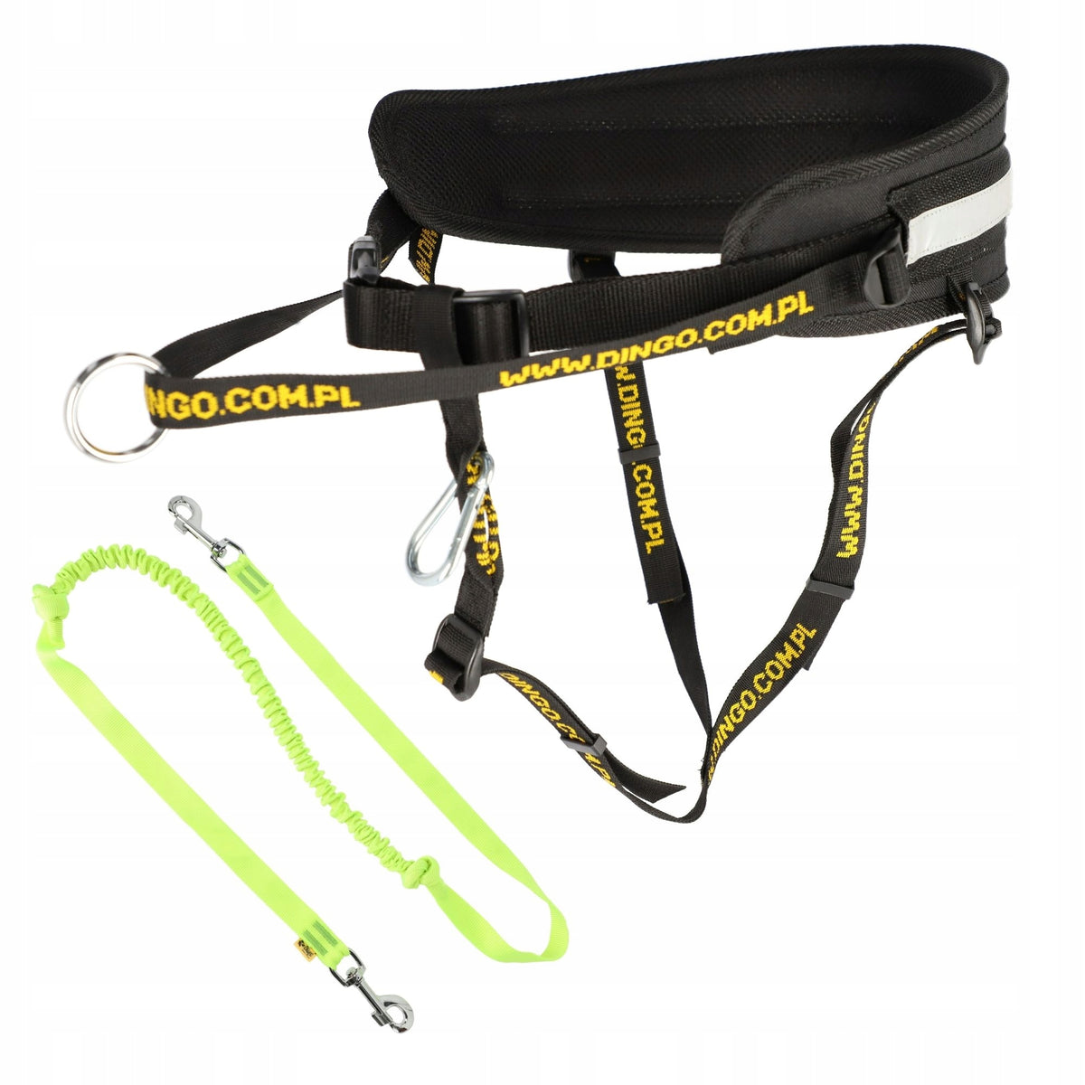 Running set with dog: belt + leash green with 2 fasteners