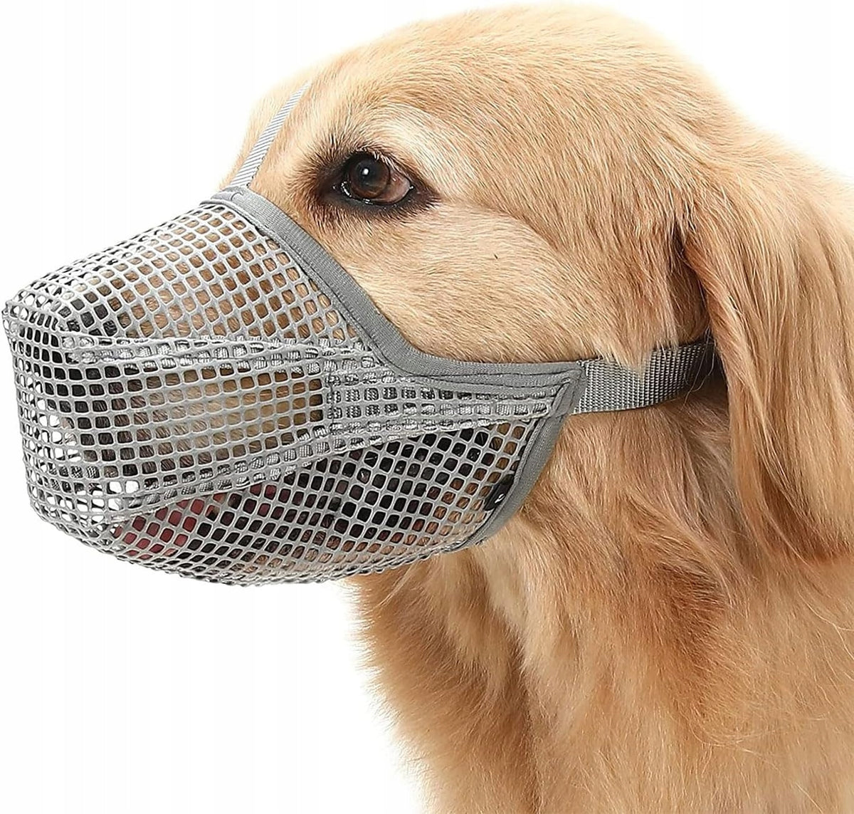 S Grey Mesh Dog muzzle