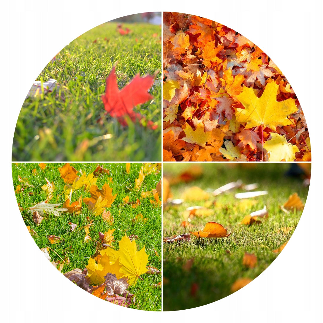 S-POL AUTUMN LAWN FERTILIZER 10kg FOR GRASS COLORING STRENGTHENING Manufacturer code NAWÓZ JESIENNY 10KG SIARKO TJ10
