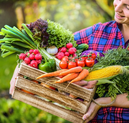 S-POL UNIVERSAL FERTILIZER 25kg ORCHARD FOREST LAWN BLUEBERRIES RASPBERRIES CURRANT Manufacturer code Siarkopol uniwersalny 25kg