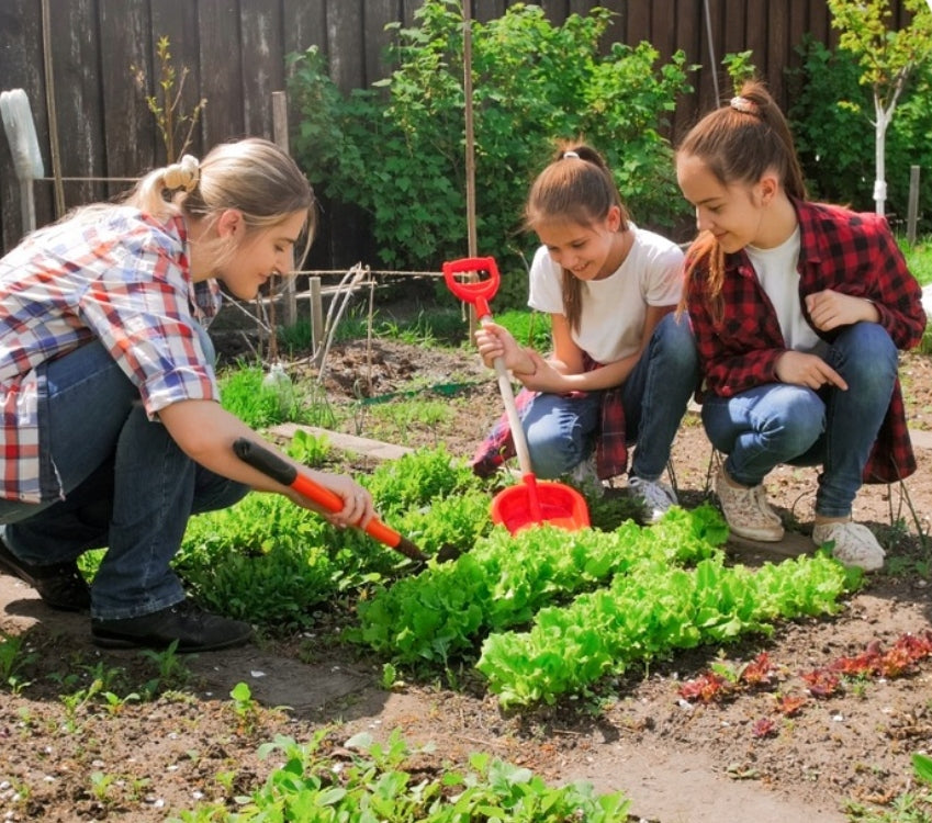 S-POL UNIVERSAL FERTILIZER 25kg ORCHARD FOREST LAWN BLUEBERRIES RASPBERRIES CURRANT Volume 25 l